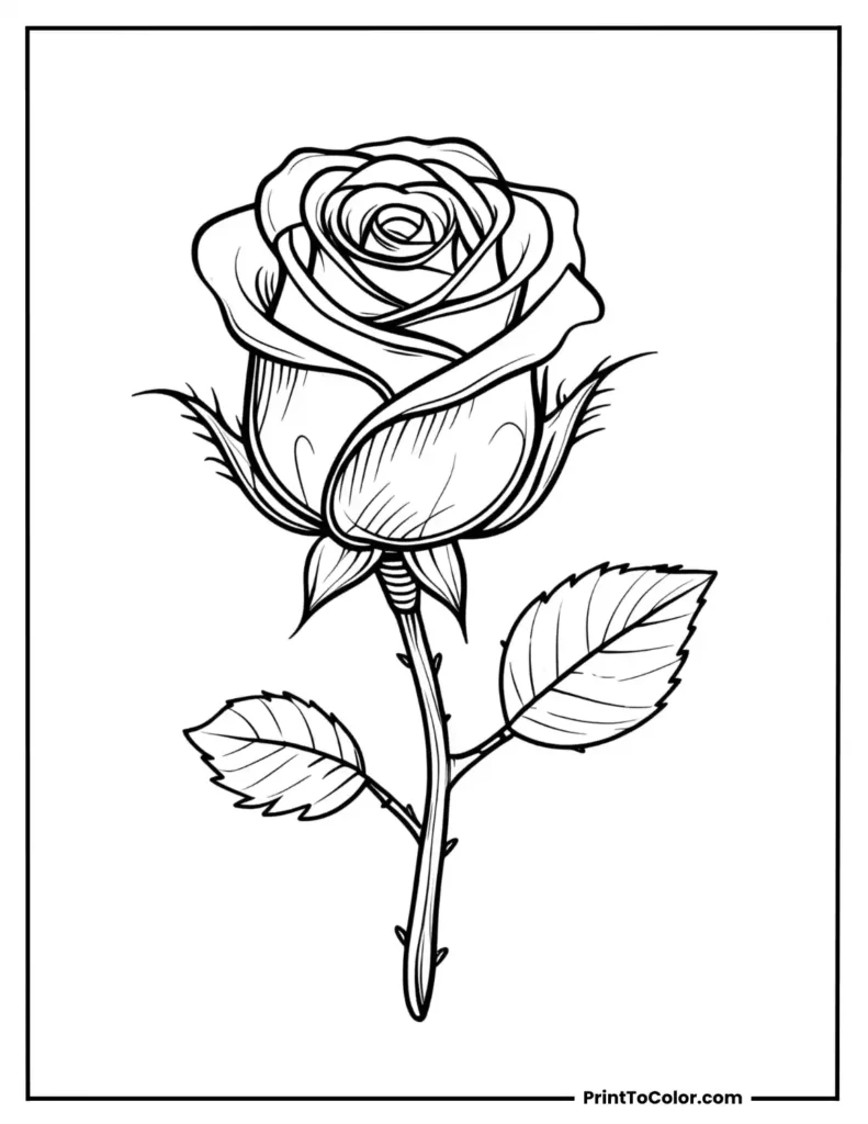 A beautiful rose bud With a small leaf each side