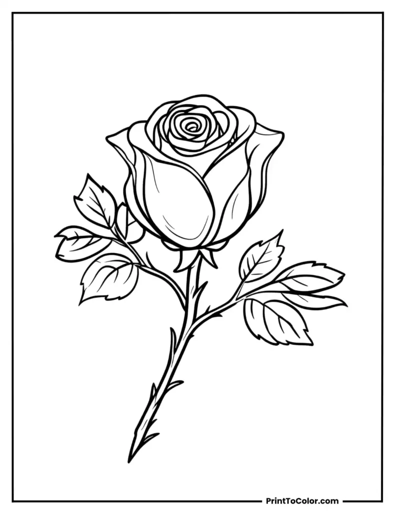 A cute rosebud With leaves on both sides