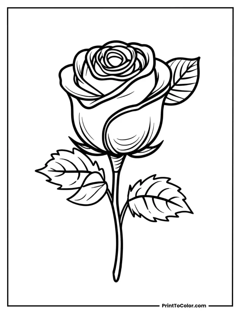 A cute rosebud with leaves