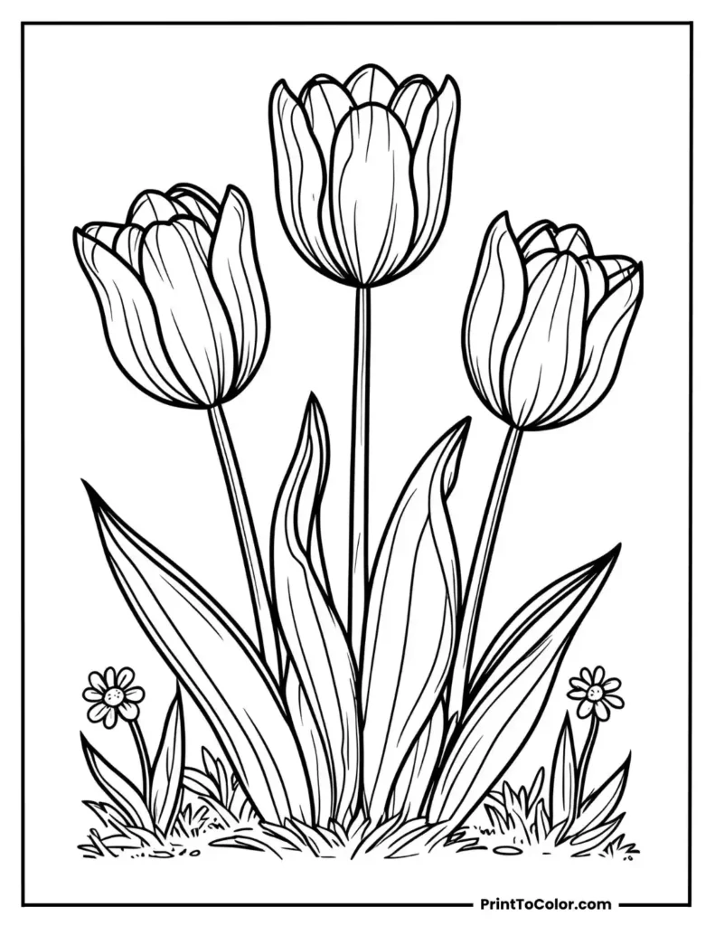 A garden scene with three large tulips