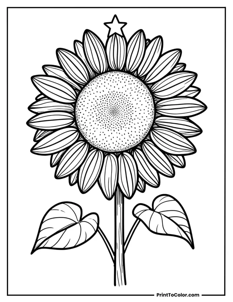 A happy sunflower with large, round petals