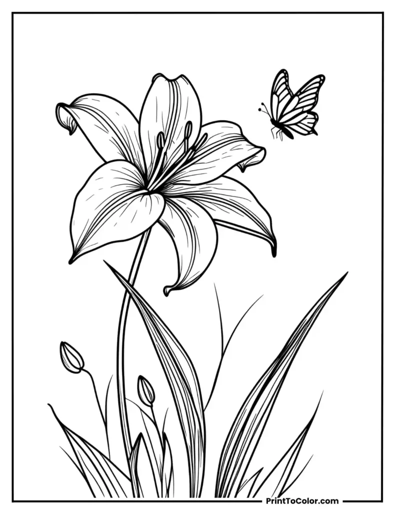 A lily with a gentle curve and a butterfly