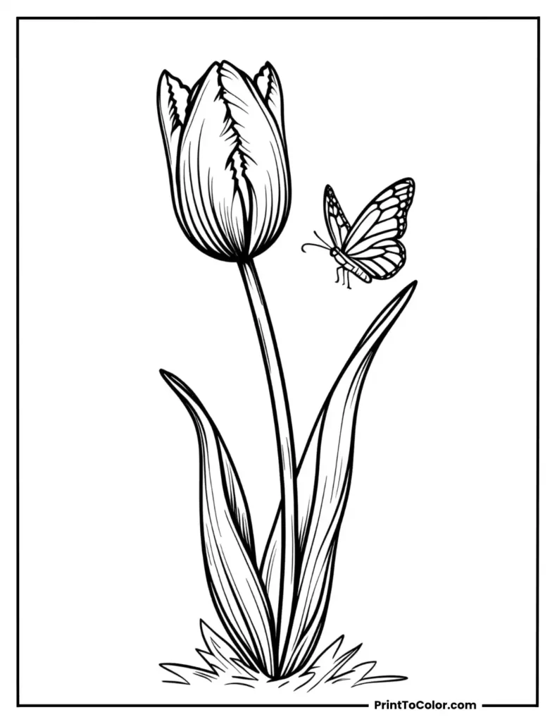 A playful tulip with a small butterfly landing on its stem
