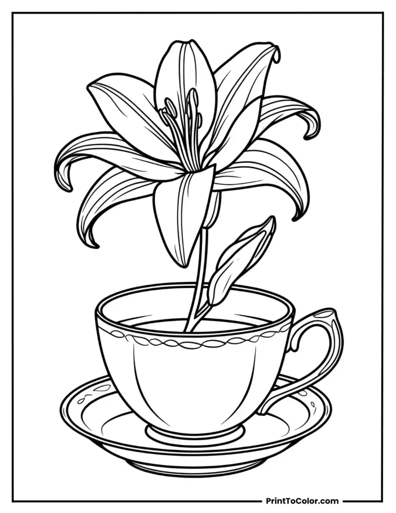 Lily (flower) in a teacup