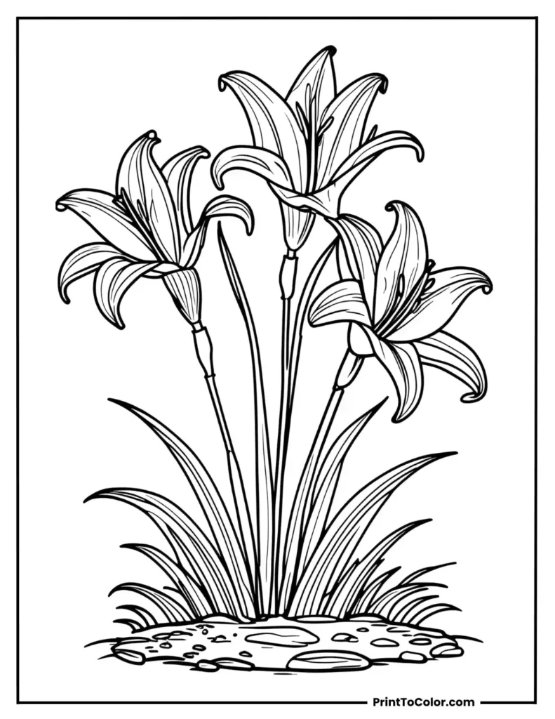 Three tall lilies growing from soil