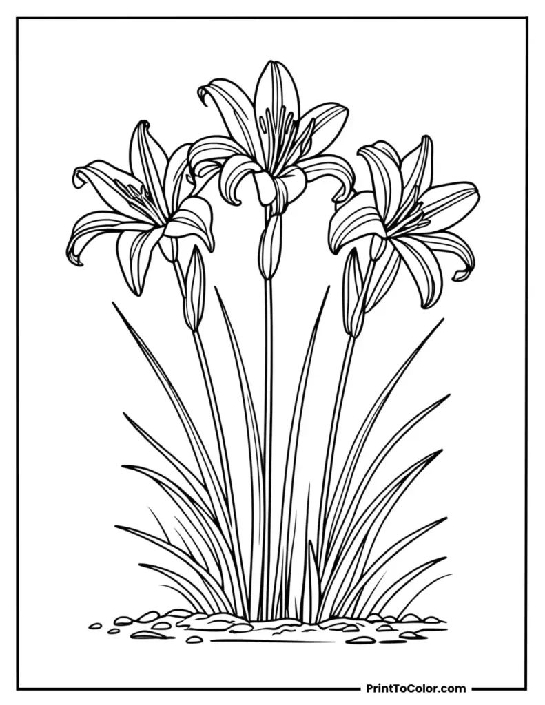 Tall lilies growing from soil