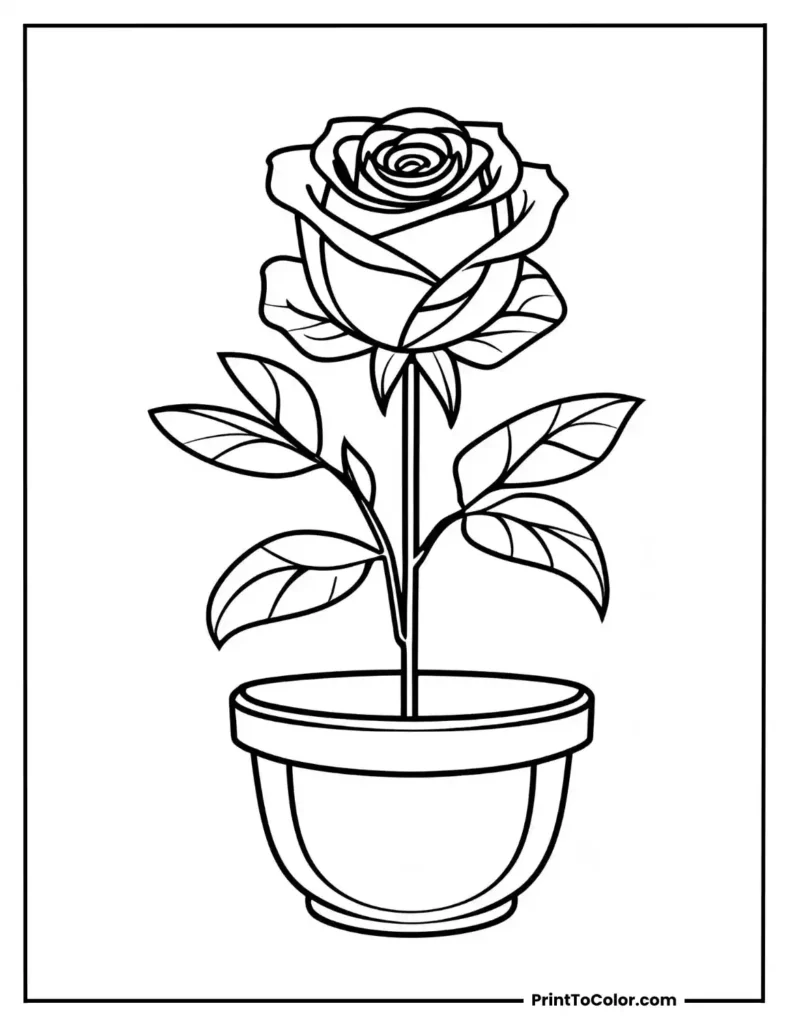 A single rose in a basic flowerpot