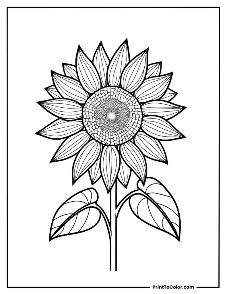 Sunflower with geometric petal shapes