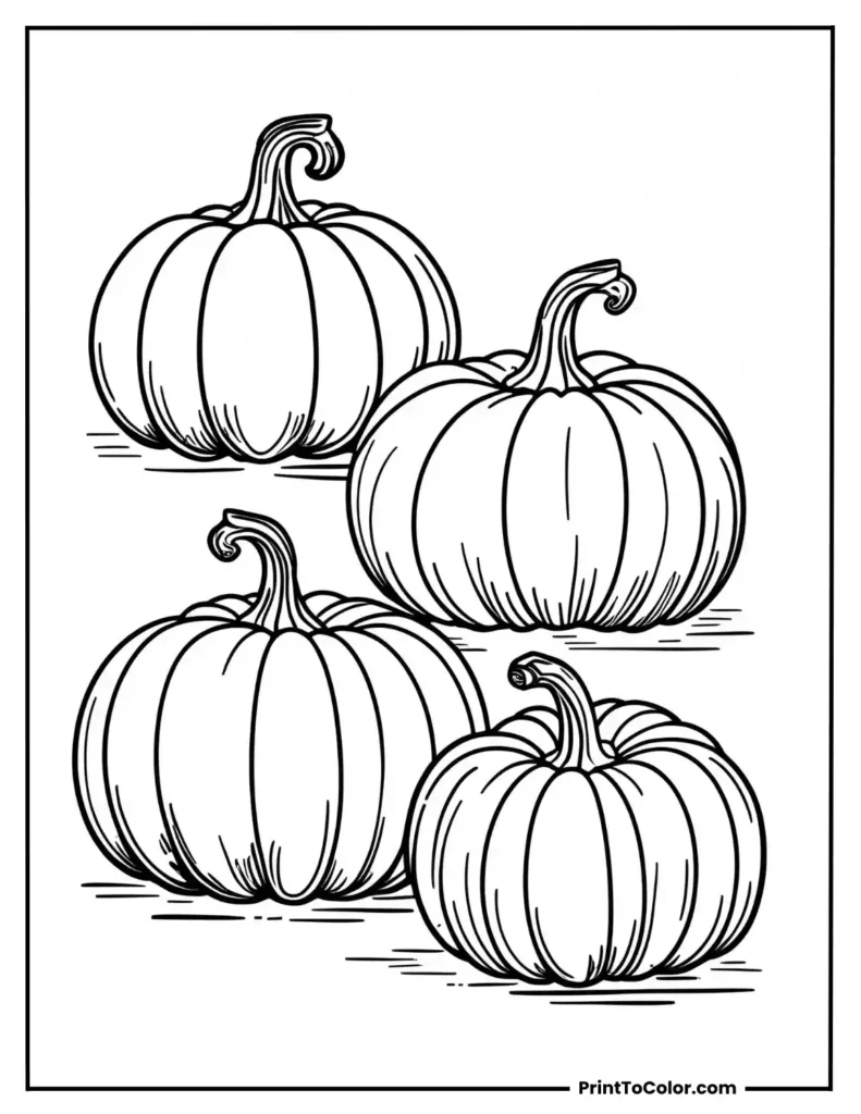 Group of four pumpkins with different shapes