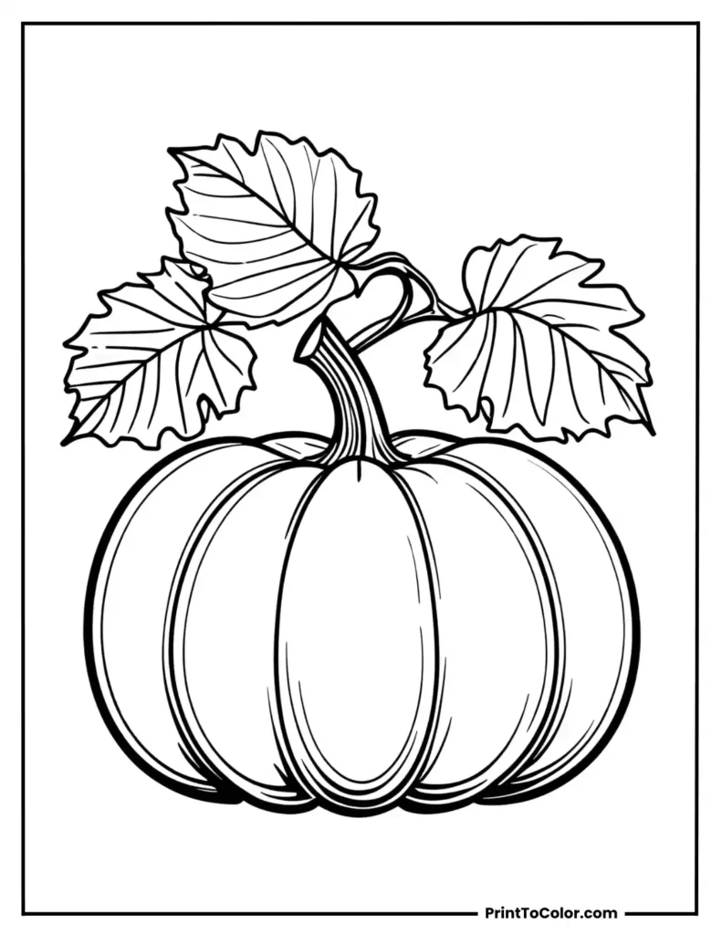 Pumpkin with big outlined leaves on both sides -