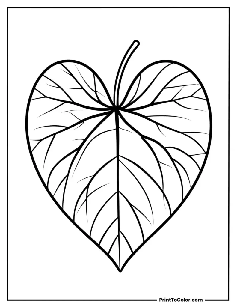 Single heart-shaped leaf with veins