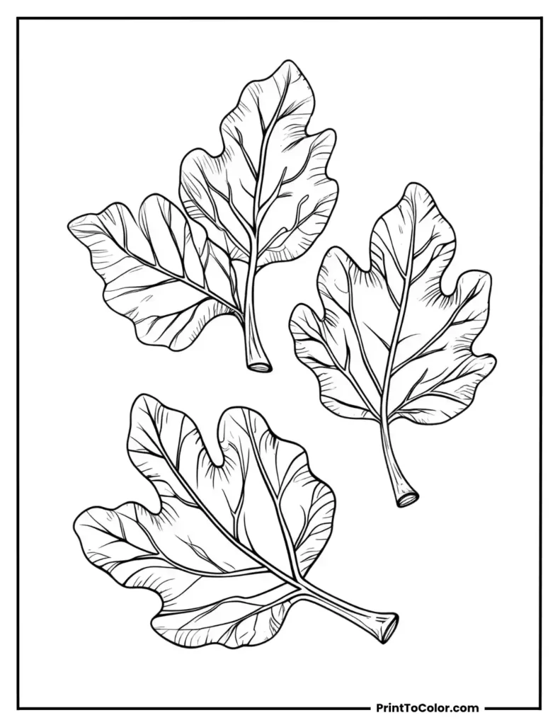 Three crunchy-looking leaves with curled tips