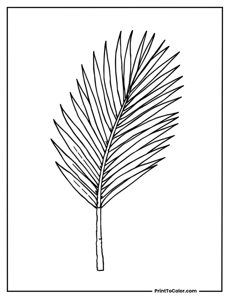 A simple palm tree leaf