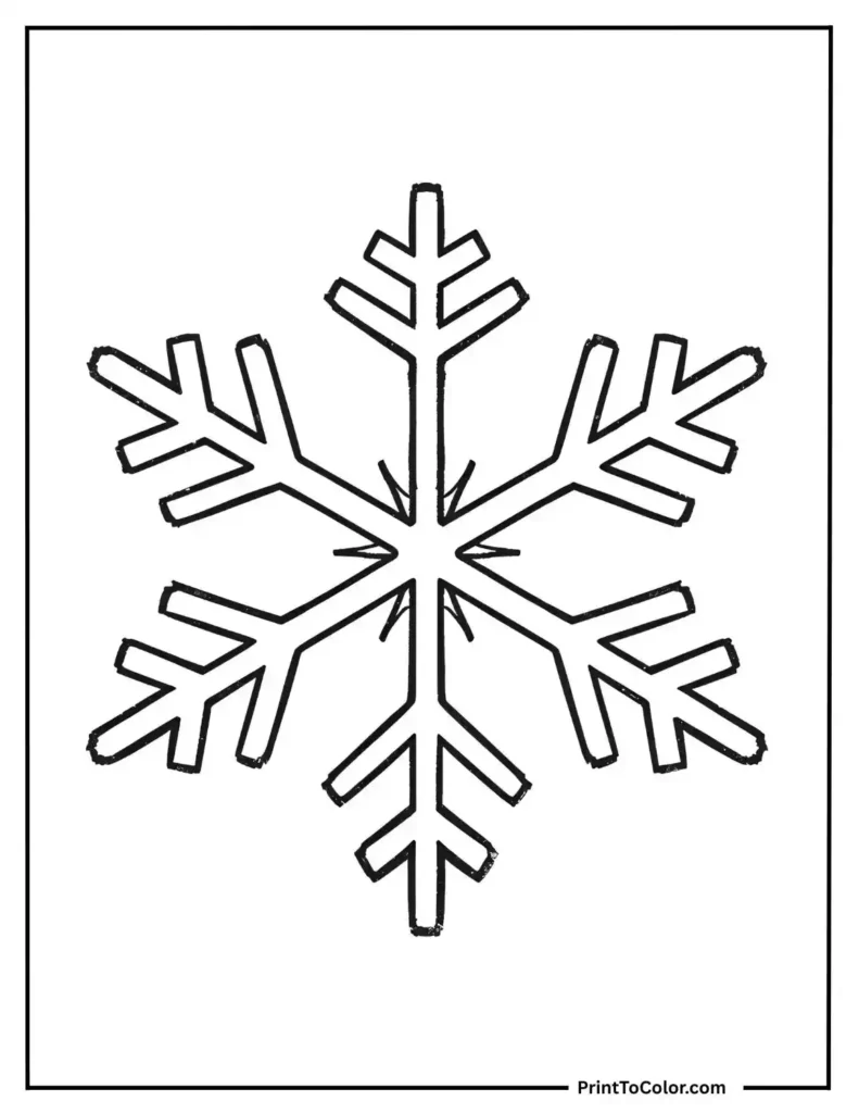 giant snowflake with bold symmetrical lines