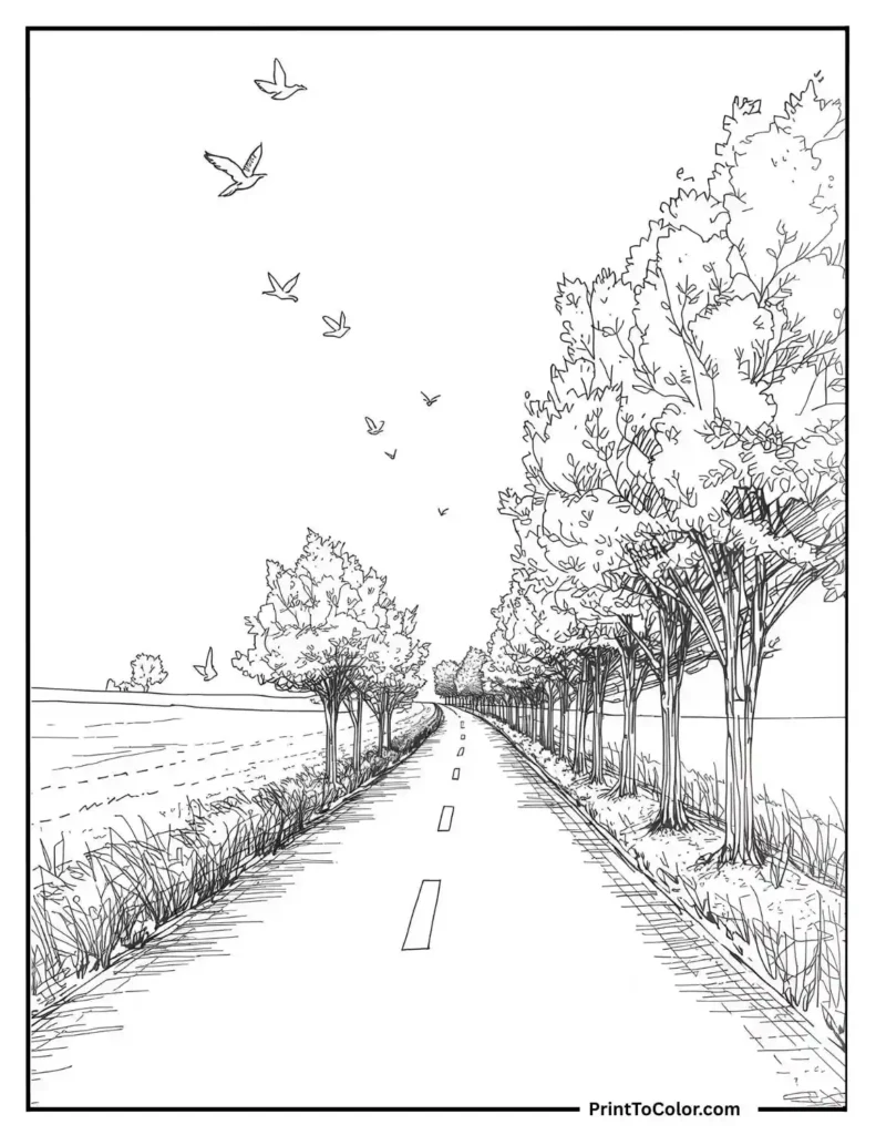 countryside road lined with autumn trees