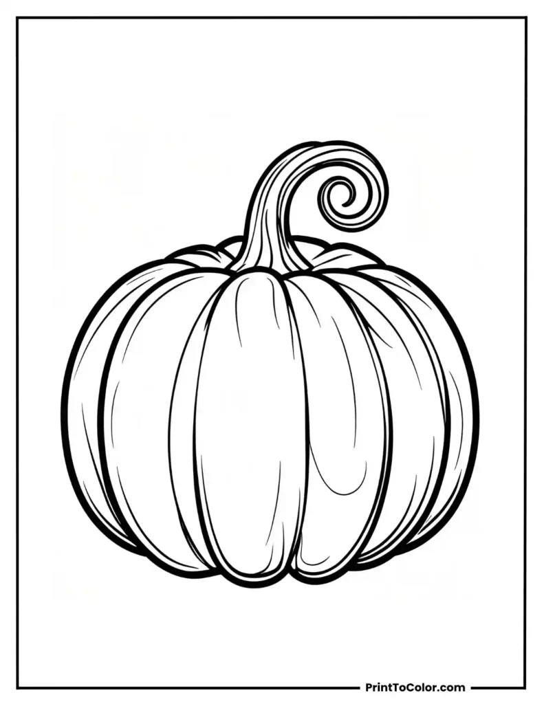 single large pumpkin with a curly stem